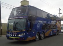 Andoriña Tours tu empresa de Bus de confianza